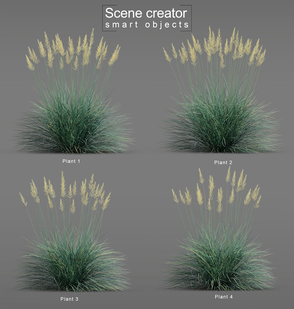 PSD 3d-weergave van boulder blue fescue grass
