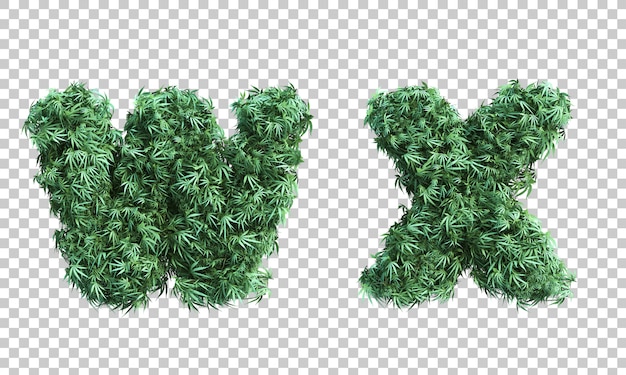 3D-weergave van cannabis letter W en letter X