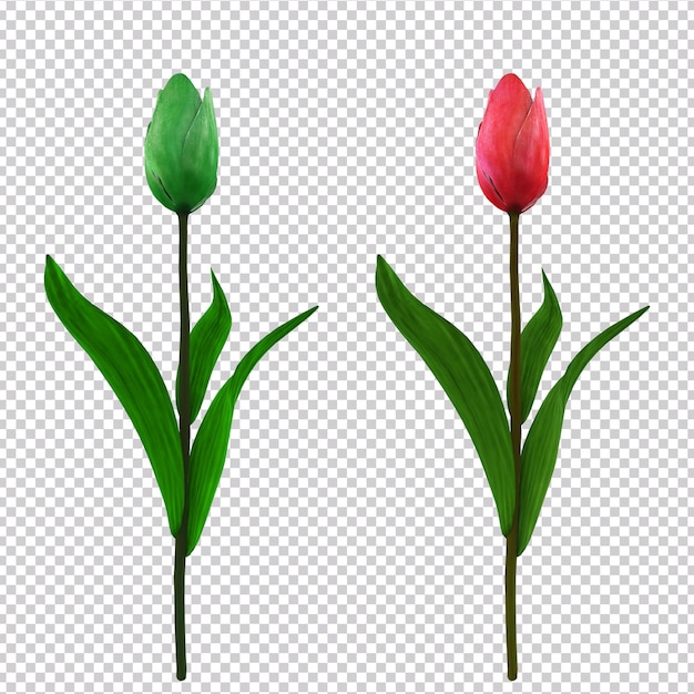 PSD 3d-weergave van een tulpen op een transparante achtergrond twee rode en groene tulpen op een groen blad
