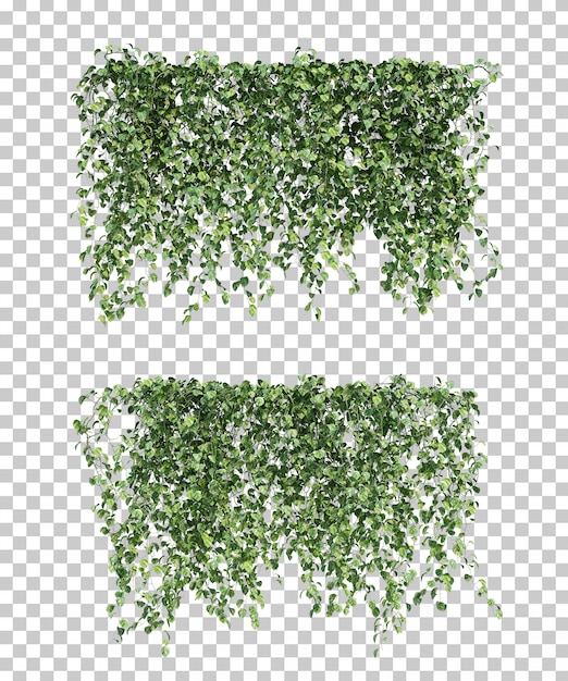 PSD 3d-weergave van epipremnum aureum