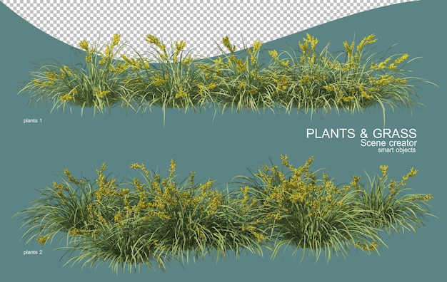 3d-weergave van gras- en struikarrangementen