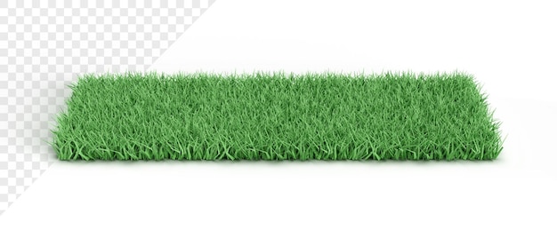 PSD 3d-weergave van groen gras