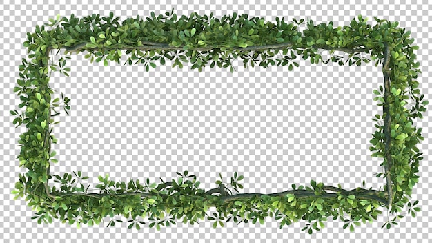 3D-weergave van het rechthoekkader van de akebia-boom