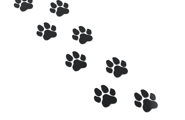 3D-weergave van paadjes van dieren geïsoleerd op een doorzichtige achtergrond