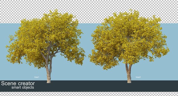 3d-weergave van prachtige bomen in verschillende hoeken geïsoleerd