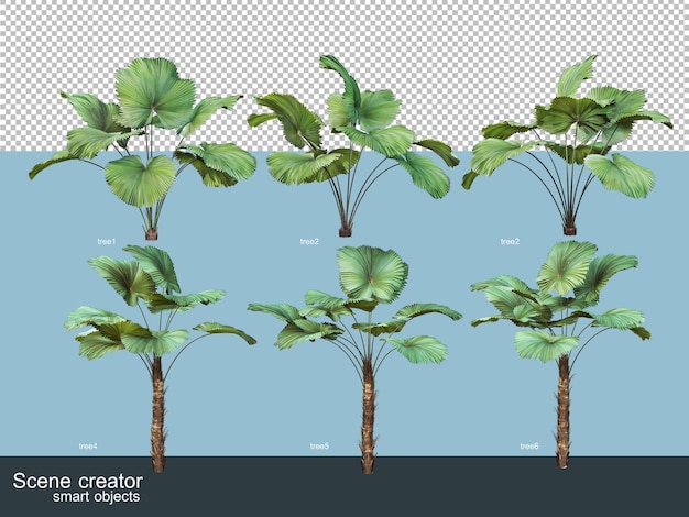 PSD 3d-weergave van prachtige bomen in verschillende hoeken geïsoleerd