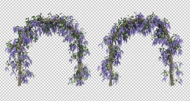 3d-weergave van queen's wreath tree collectie geïsoleerd