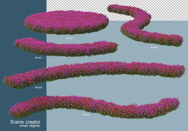 3d-weergave van struiken regeling geïsoleerd