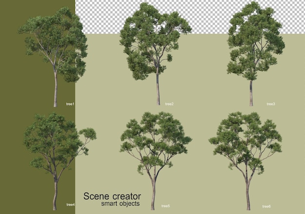 3d-weergave van verschillende bomen geïsoleerd