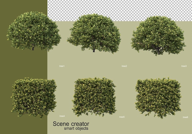 3d-weergave van verschillende boomontwerpen