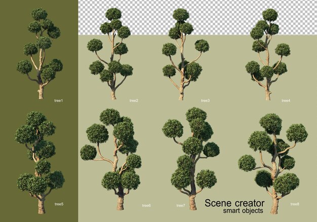 3D-weergave van verschillende boomontwerpen