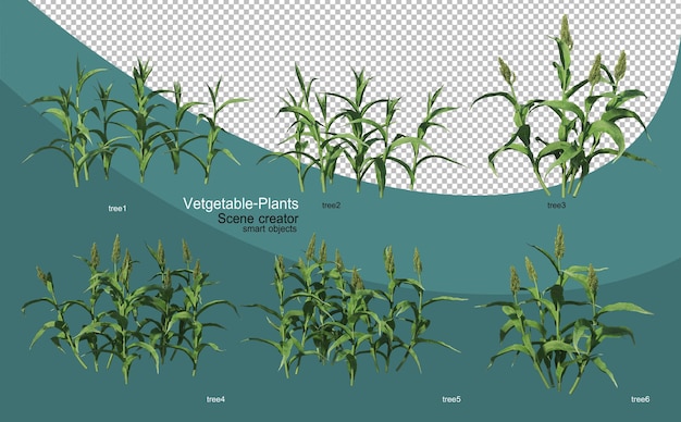 3d-weergave van verschillende plantaardige lay-outs