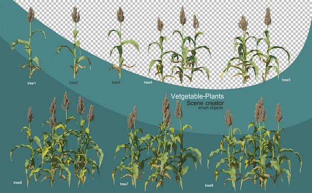 PSD 3d-weergave van verschillende plantaardige lay-outs