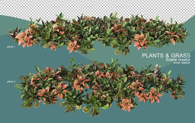 3d-weergave van verschillende plantarrangementen