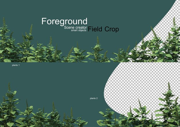 3D-weergave van verschillende soorten agronomie