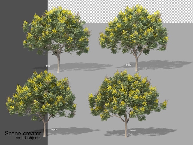 3d-weergave van verschillende soorten boom geïsoleerd