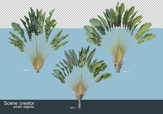 3d-weergave van verschillende soorten palmbomen