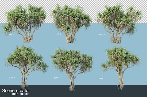 3d-weergave van verschillende soorten palmbomen