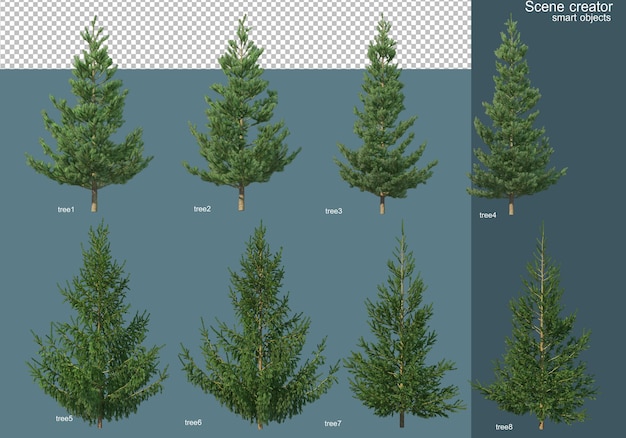 3D-weergave van verschillende soorten pijnbomen