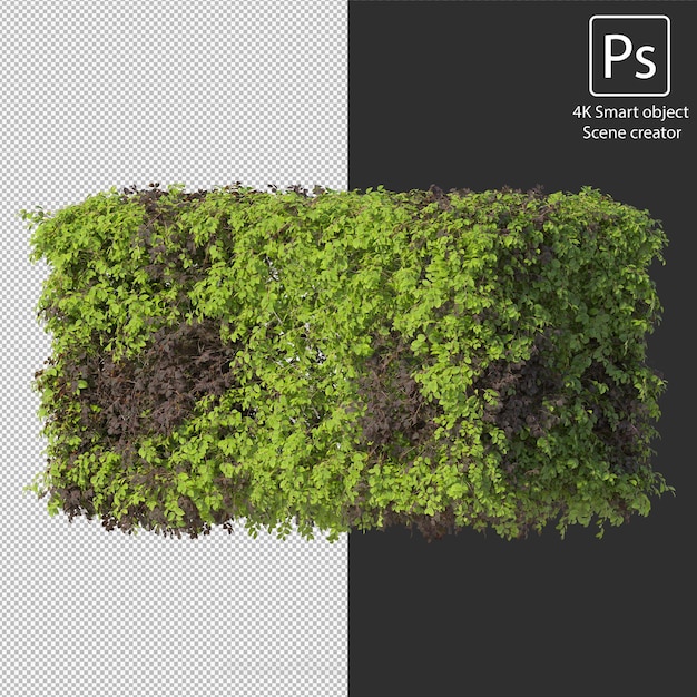 3D-weergave van verschillende soorten struik- en heggenarrangementen