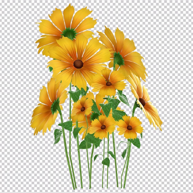 PSD 3d-weergave van zonnebloemen collectie geïsoleerd op transparante achtergrond.