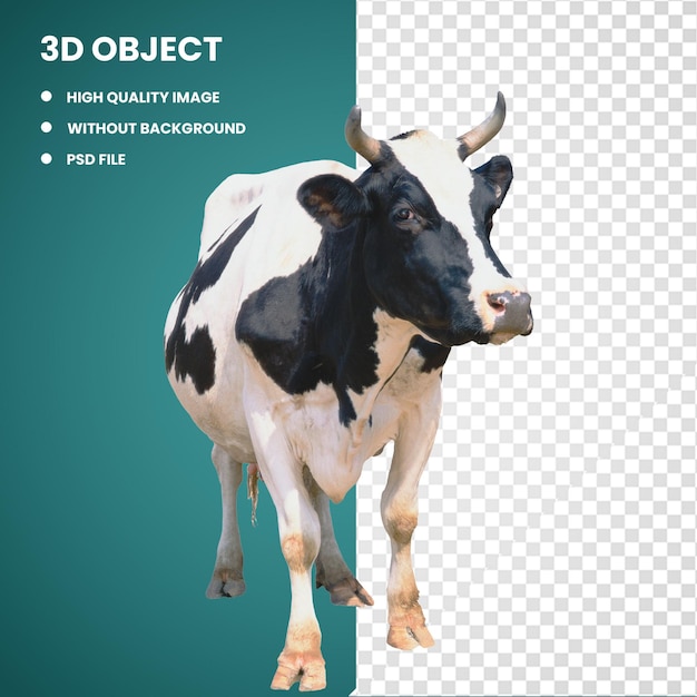 PSD 3d white and black cow