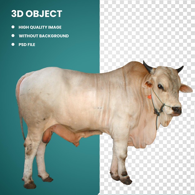 PSD 3d white cow illustration