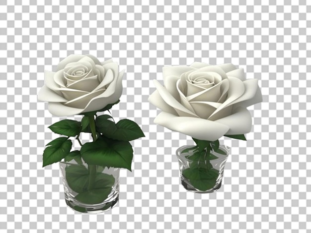 3d white rose in a glass