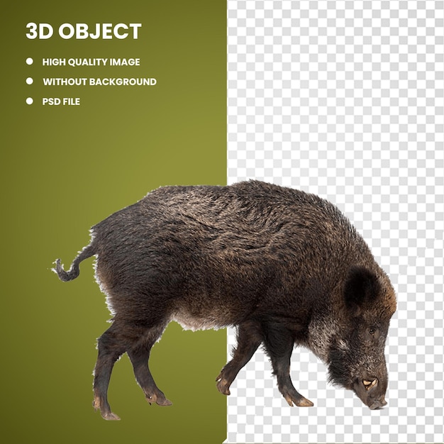 PSD grafica di cinghiale selvatico 3d