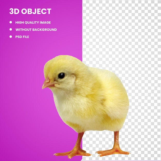 3d żółty kurczak