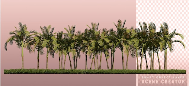 3d визуализация изображения пальм спереди на травяном поле