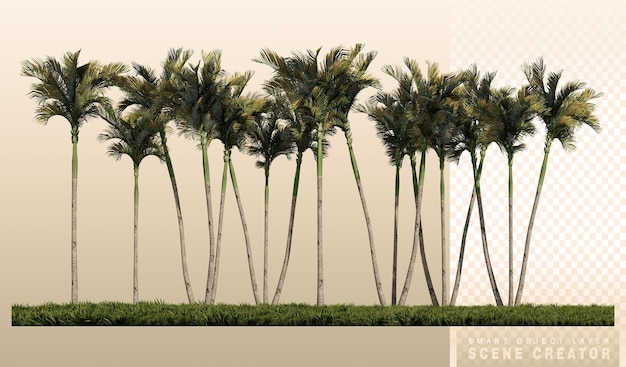 PSD 3ds renderujący obraz widoku z przodu palm na polu traw