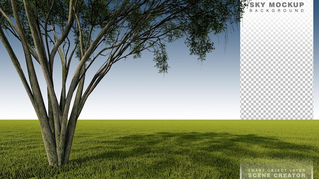 A 3d rendering image of a big tree placed grass field