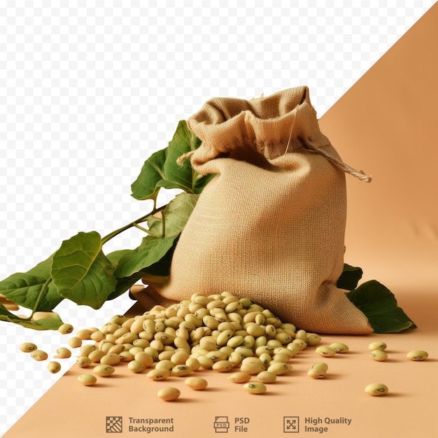 PSD Мешок с кофейными зернами с мешком с кофейным зерном.
