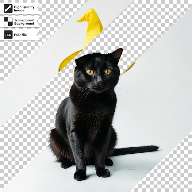 PSD a black cat with a yellow arrow on its head