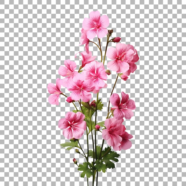 투명한 배경을 가진 꽃병에 분홍색 꽃줄이