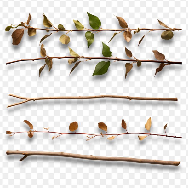 PSD 葉のある枝とその上に種子という言葉が書かれた枝