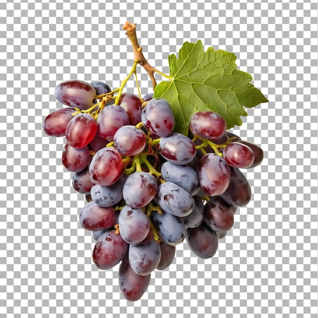 A bunch of red grapes isolated on a transparent background