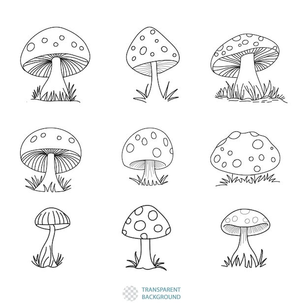 A collection of mushrooms that are labeled transparent background.