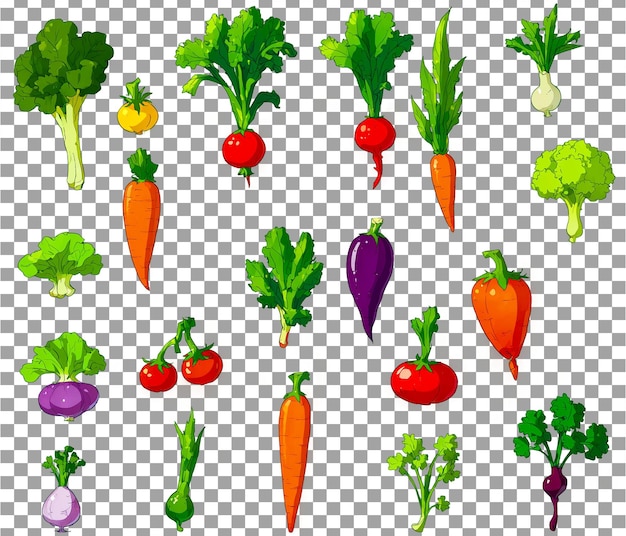 a collection of vegetables including carrots celery and carrots