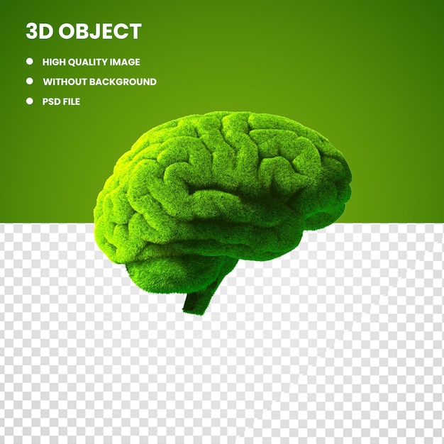 A computer screen with the title 3d object on it