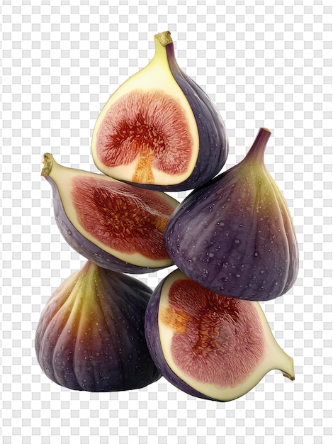 PSD Рисунок смоковника с изображением смоковника
