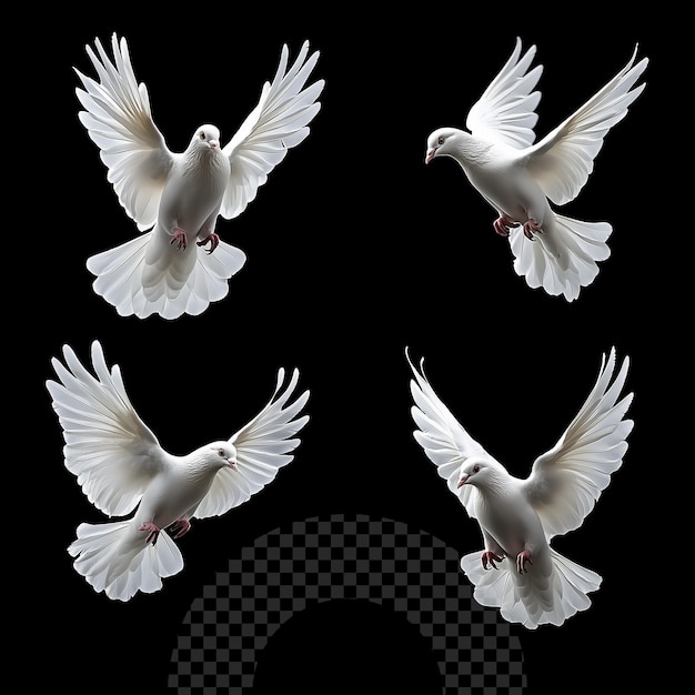 a flock of doves are shown with one being held up