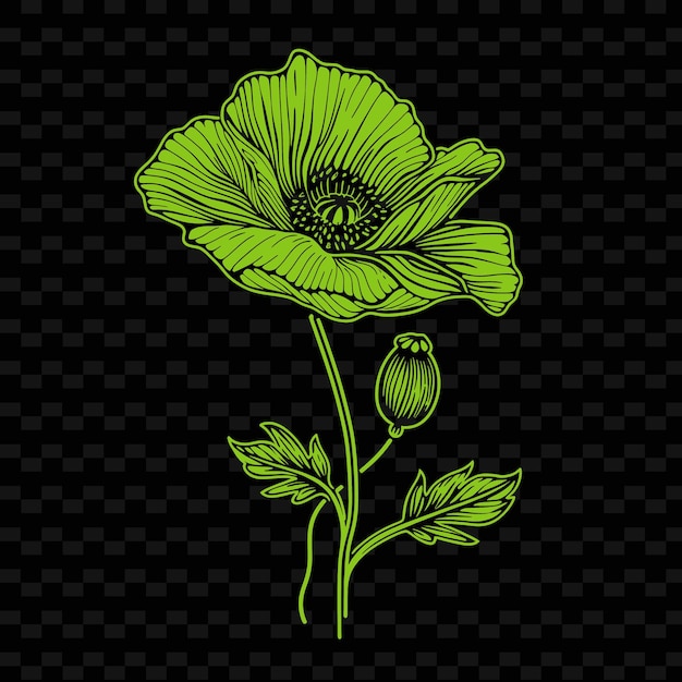 PSD 초록색 니가 있는 검은색 배경의 꽃