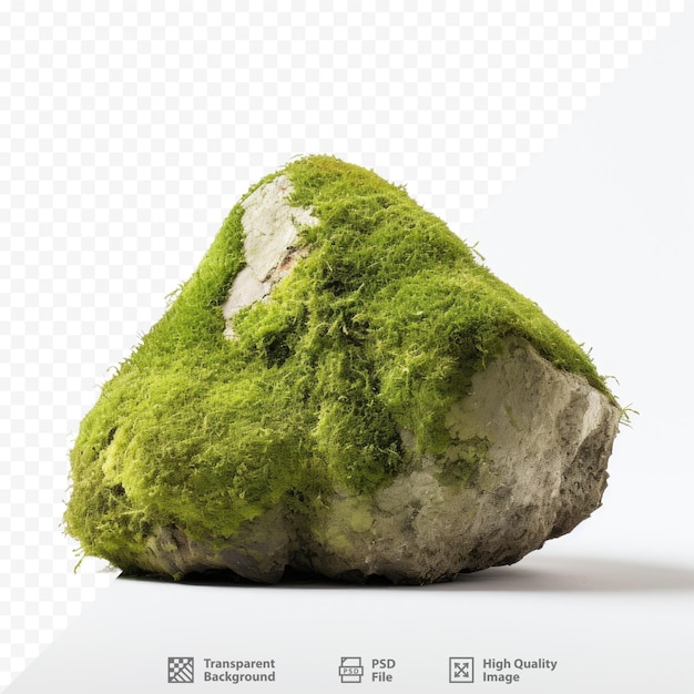 PSD Зеленый моховой камень с зеленым мхом на нем.