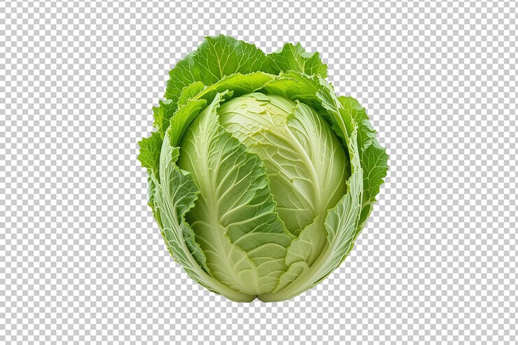 A head of cabbage with leaves on a transparent background