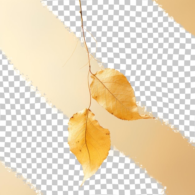 PSD a leaf is hanging on a string that has the word autumn on it