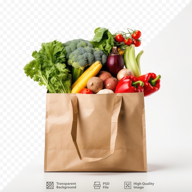 PSD 야채가 든 종이 봉투와 유기농 식품이라는 라벨이 붙은 종이 봉투.