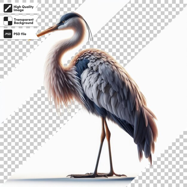 PSD その上に鳥の絵が描かれた鳥の絵