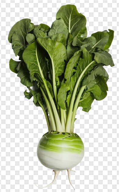 PSD 緑の葉の野菜の絵をつけた花瓶の中の緑の葉のある野菜の写真